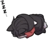 Black Kitten (2) 10