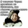 Я тетушка Чарли приехала из Бразилии, где водится много-много диких обезьян