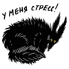 CC У МЕНЯ СТРЕС!