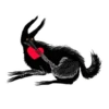 Benedikt dog 13