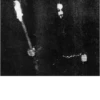 Black Metal 11