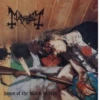 Black Metal 16