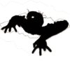 Halloween Zombie 13