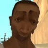 GTA Memes 23