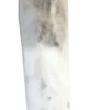 BIG ASS JOINT 6