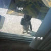 Not So Polite Cats (@heahy) 5