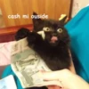 Not So Polite Cats (@heahy) 9