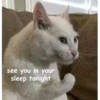 Not So Polite Cats (@heahy) 11