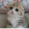 Стики из @Anonymnyi_chat_bot 7