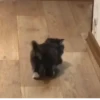 Стики из @Anonymnyi_chat_bot 8