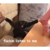 Not So Polite Cats (@heahy) 16