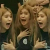 — blackpink — 17