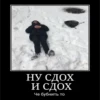 НУ СДОХ и сдох Че бубнить то