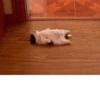 Стики из @Anonymnyi_chat_bot 22
