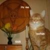 Not So Polite Cats (@heahy) 26
