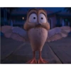 patos! 5