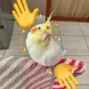 ❤️ Buenos días Amor 🥰Bza 6