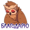 СовYшка | 6