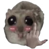 Ratita Triste 5