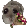 Ratita Triste 6