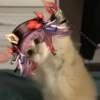 Tiny genshin cats 5