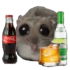Ratita Triste 7