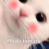Gatitos Shitposting 2 5