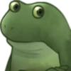 Ranita 🐸 Memes 8