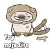 🧿Gatitos🐱🐈 9