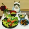 Gatos & Food 💖C☆ 6