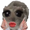 Ratita Triste 8