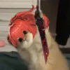 Tiny genshin cats 6