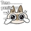 🧿Gatitos🐱🐈 10