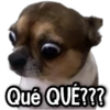 Reacciones Perritos! 🐕 5