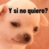 Y si no quiero?