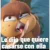 patos! 9