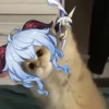 Tiny genshin cats 7