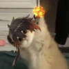 Tiny genshin cats 8