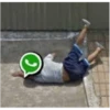SE CAYÓ WHATSAPP 🟢📵❎️ 6