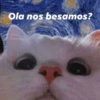 Gatitos Shitposting 2 6