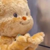 🧿Osita dudu2🐻‍❄️🐻 5