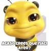 abeja 🐝 9