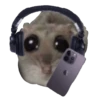 Ratita Triste 10