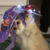 Tiny genshin cats 10