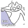 🧿Gatitos🐱🐈 12