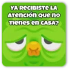 💚Duolingo Irónico~TikTok😏 7