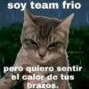 Gatitos Shitposting 2 7