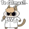 🧿Gatitos🐱🐈 13