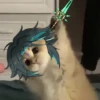 Tiny genshin cats 11