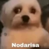 m Nodarisa